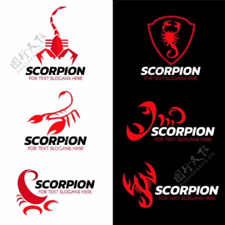 蝎子logo图片