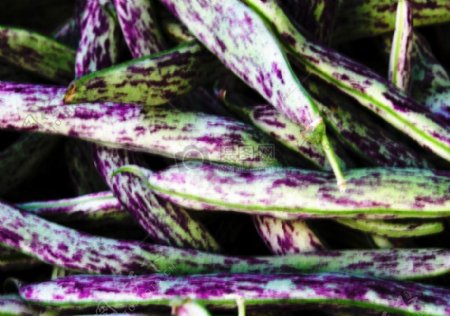 紫色斑点豆类