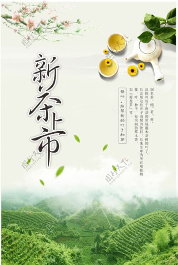 茶叶新品上市海报