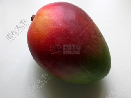 mango.jpg