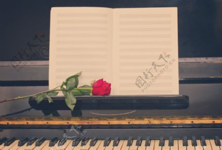 玫瑰花乐谱钢琴图片