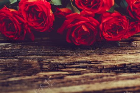 木板上的玫瑰花图片