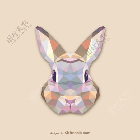 三角兔设计
