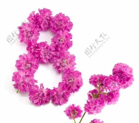 鲜花组成的数字8