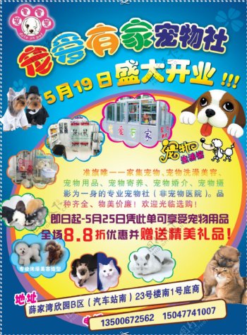 宠物店开业宣传海报