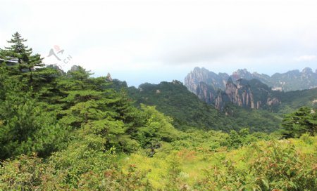 森林山峰风景图片