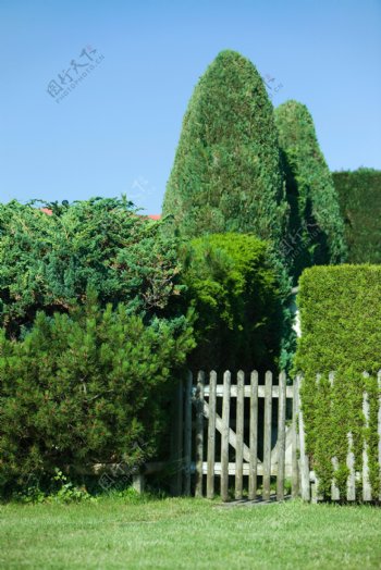 绿色树木房屋风景图片