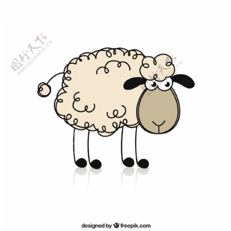 粗略的羊