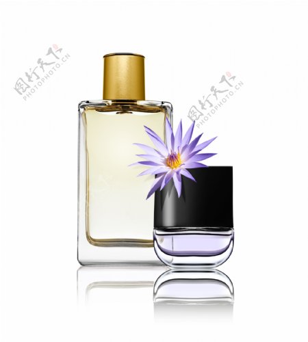 香水与花朵图片图片