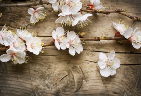 木板背景与桃花