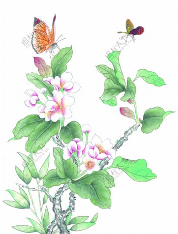 花卉蝴蝶装饰画图片