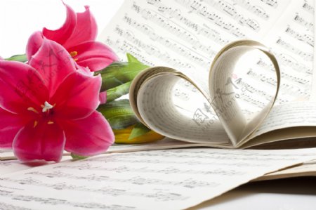 卷起来的音乐书与花朵图片