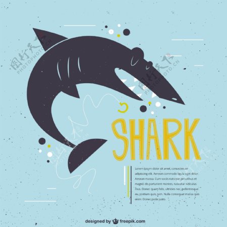 有趣的鲨鱼的插图