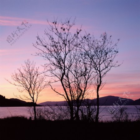 黄昏的美丽湖泊图片