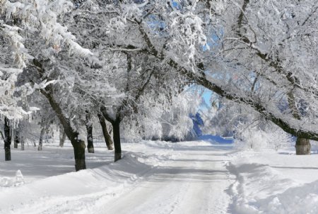 冬天马路风景图片