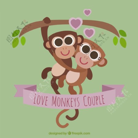 爱猴夫妇