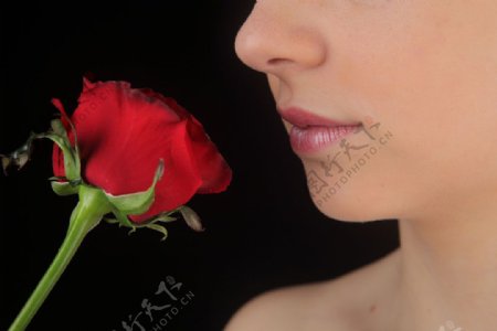 拿玫瑰花的性感美女图片