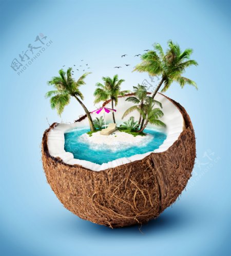 椰壳里的椰子树图片