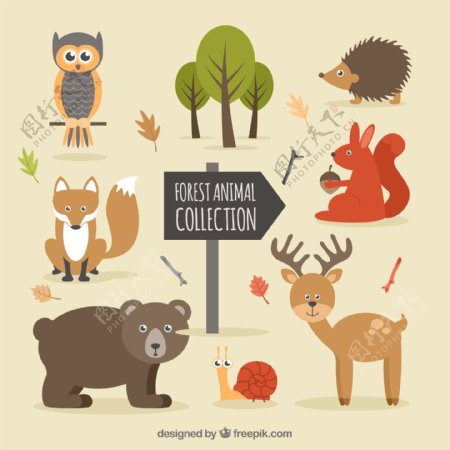 手工画好的森林动物和自然