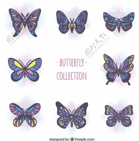 紫色的装饰蝴蝶