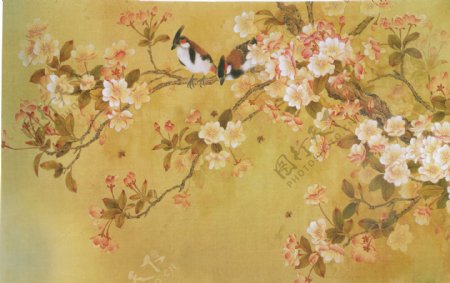 中国花鸟画图片