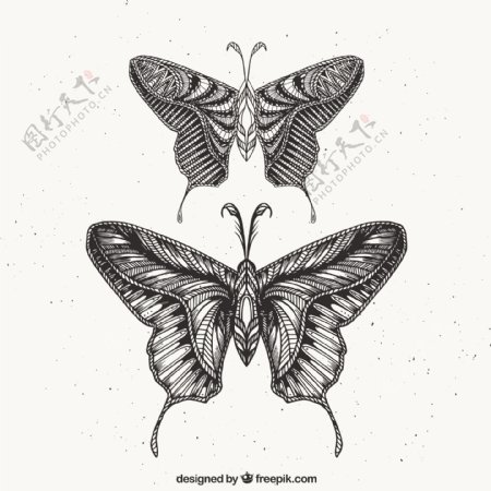 两只手画蝴蝶
