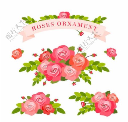 美丽玫瑰花束和丝带矢量素材下载