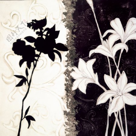 黑白艺术花朵壁画