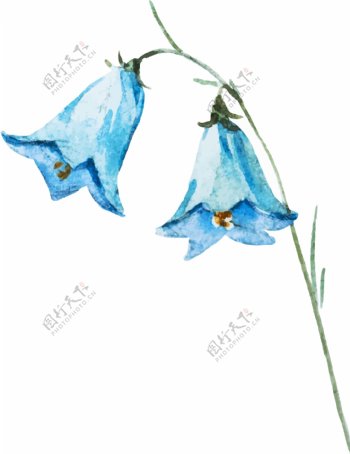 水彩束蓝色野花素材