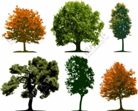 不同树设计元素矢量图素材