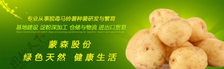 土豆网站首页banner
