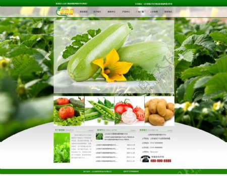 大棚蔬菜种植企业网站