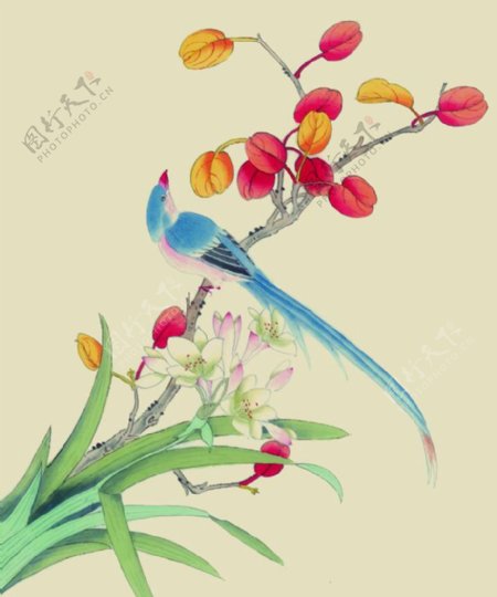 中国风水彩花鸟
