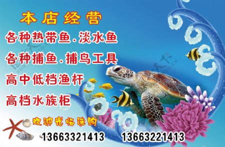 水族馆海报海龟