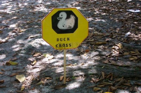 在公园鸭跨越标志