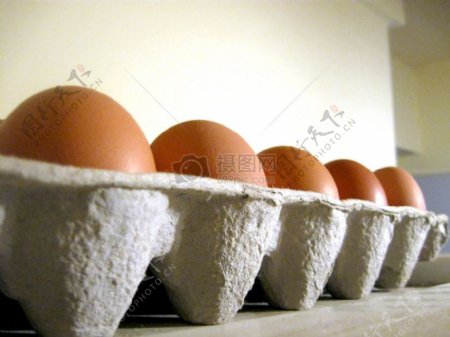 厨房里摆放整齐的鸡蛋