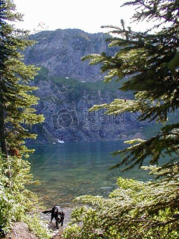 山湖水脉和树木