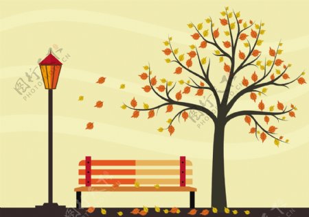秋季黄色大树与椅子背景图