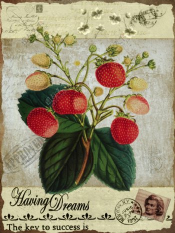 美丽的草莓油画图片