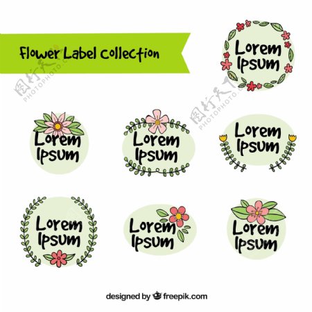各种手绘花卉装饰标签