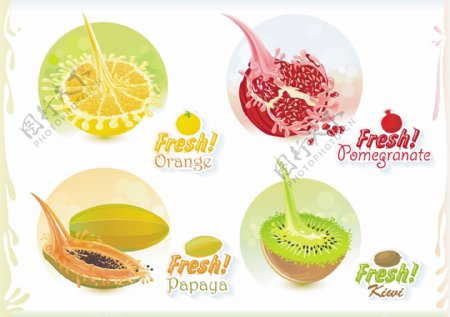 水果和果汁插画