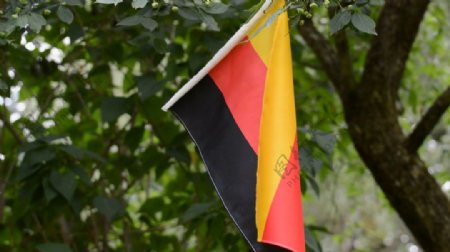 树枝上的德国国旗