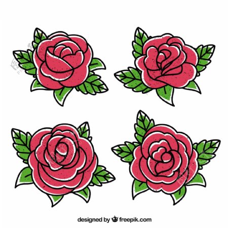 手绘红色玫瑰插图