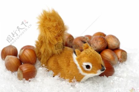 松鼠与坚果在雪中