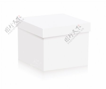 白盒向量