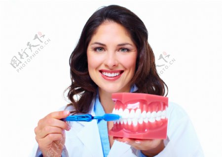 示范刷牙的牙科医生图片