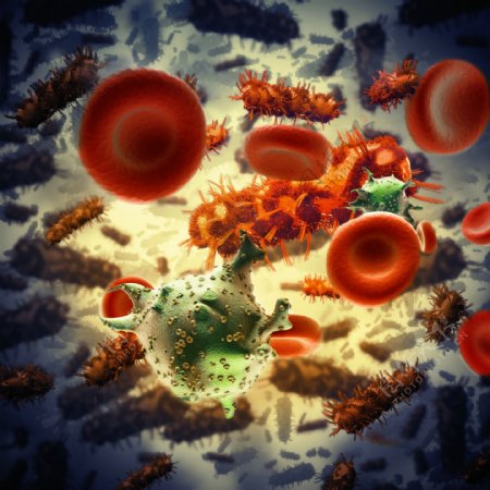 病毒细胞与血球图片