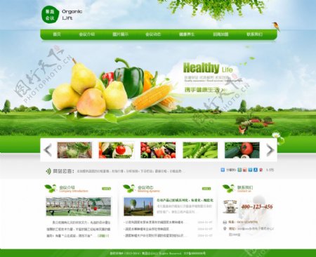 水果蔬菜手机UI设计web模板下载