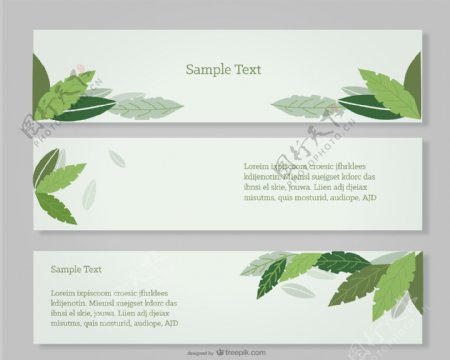 绿色叶横幅设置设计