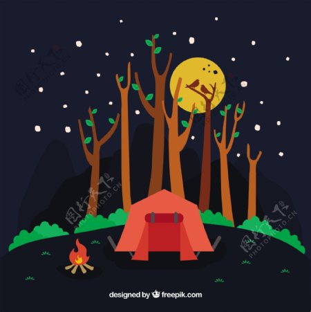 夜间在森林里野营